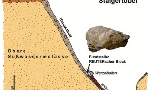 Geologisches Profil des Staigertobels (westlicher Seitenarm in Richtung „Jungviehweide“) mit der Fundstelle des REUTERschen Blockes im Hangschutt der nördlichen Tobelwand.