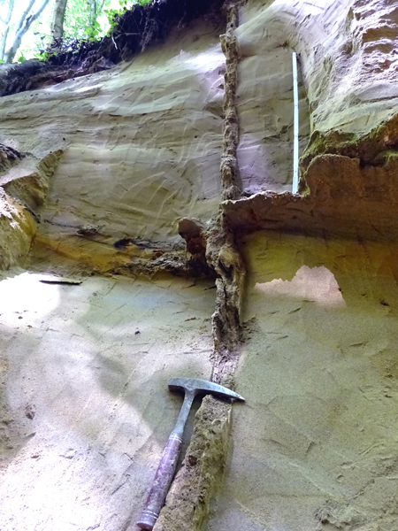 Erdbebenspalte im Hochgeländ nahe südlich von Biberach. Foto: Volker J. Sach (Fokus Natur, Ochsenhausen)