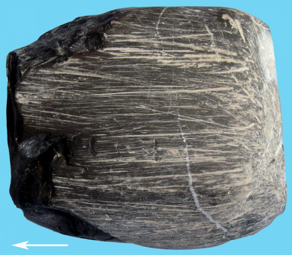 Gekritztes Geschiebe aus der Kiesgrube Weihwang (Landkreis Sigmaringen)