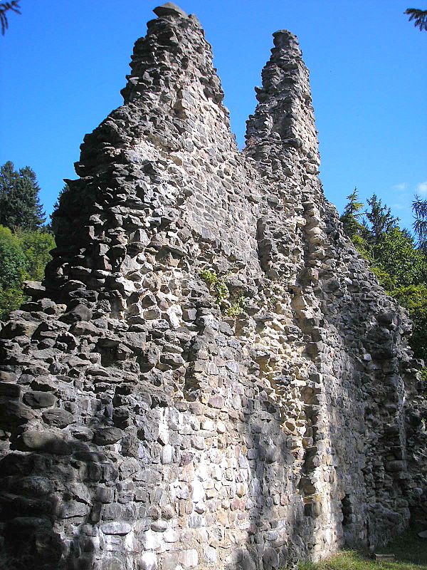 files/tl_filesOPO/Beitraege/Burg_Burgberg.jpg