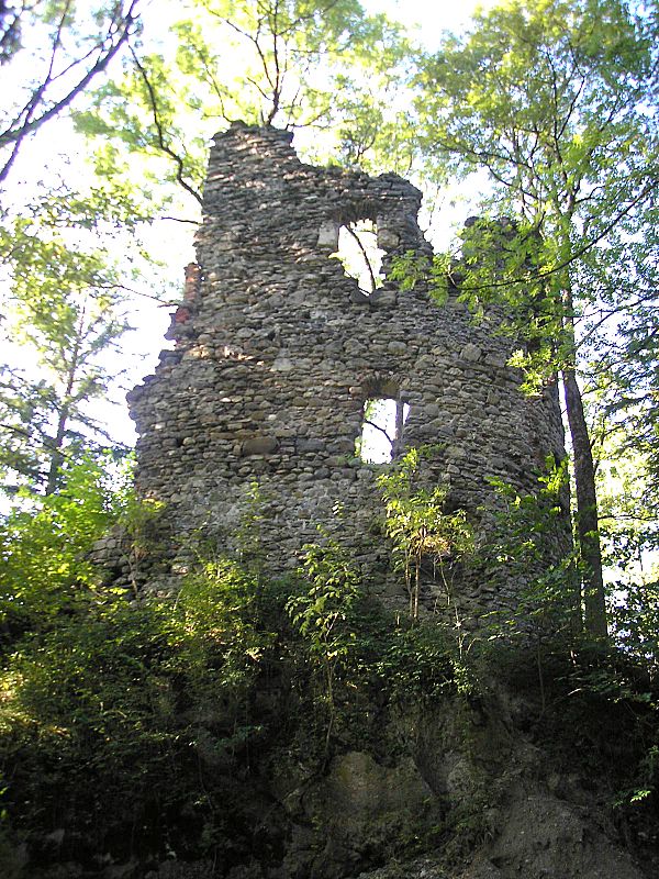 files/tl_filesOPO/Beitraege/Burg_Fluhenstein.jpg