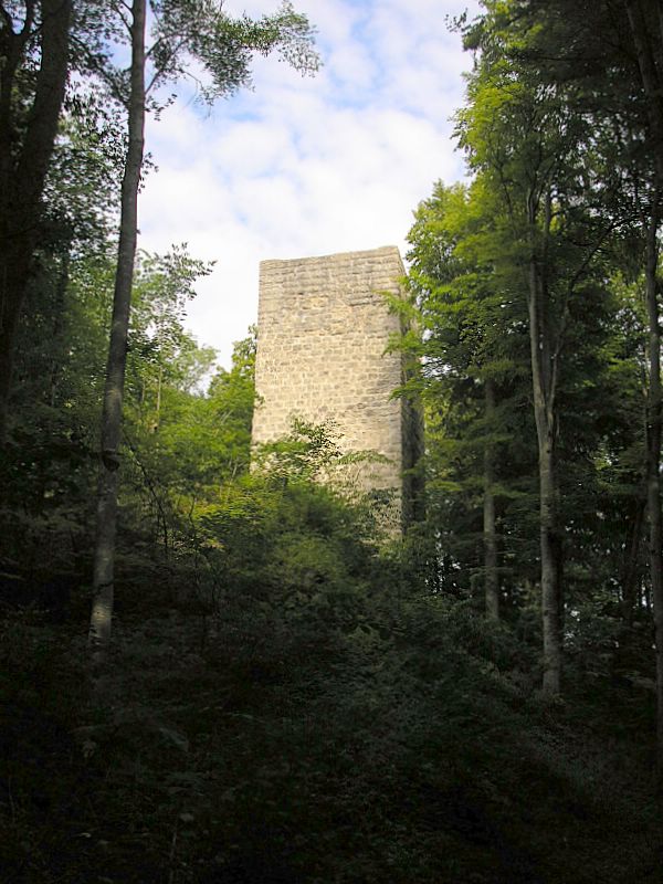 files/tl_filesOPO/Beitraege/Burg_Helmishofen.jpg