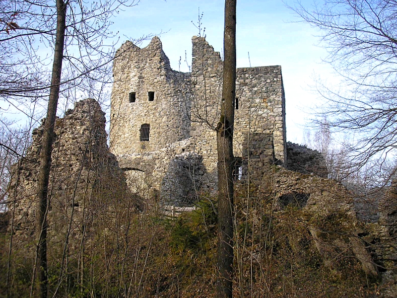files/tl_filesOPO/Beitraege/Burg_Laubenbergerstein.jpg