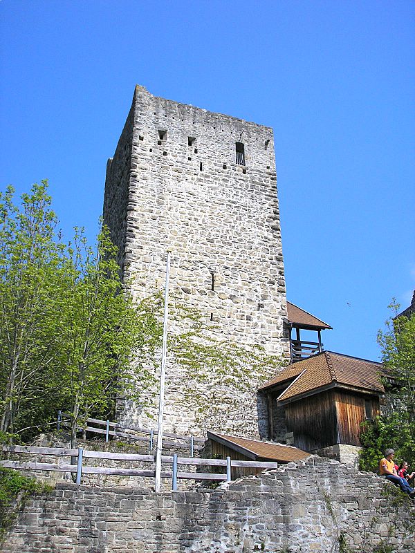 files/tl_filesOPO/Beitraege/Burg_Sulzberg.jpg