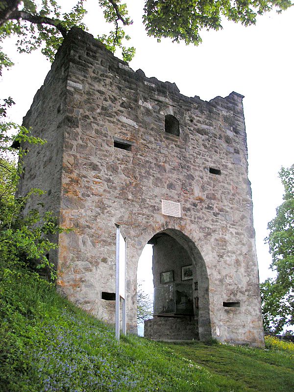 files/tl_filesOPO/Beitraege/Burg_Werdenstein.jpg