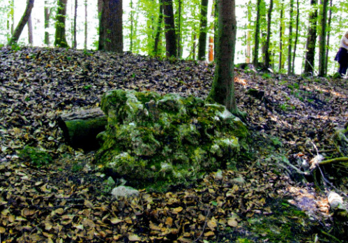 Schlier-Zundelbach: Burg Wildenegg (H.U. Rudolf)